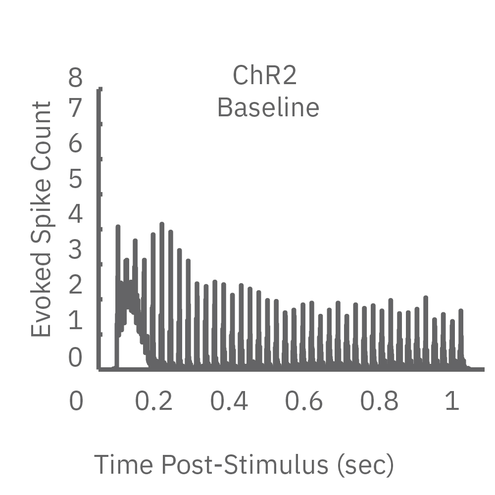 MEA raster plot showing baseline Chronos neural response to high-frequency optical stimulation in vitro