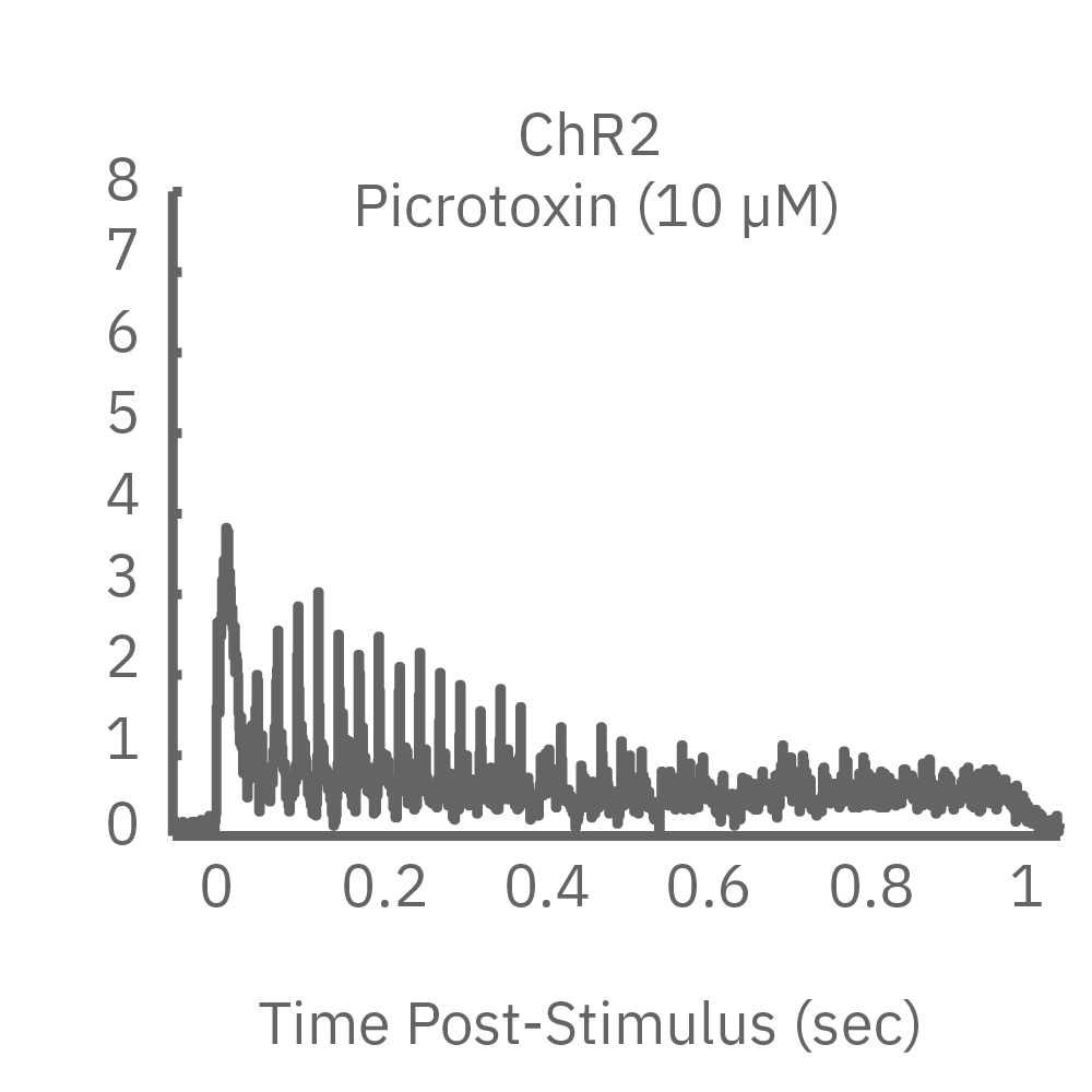 MEA raster plot showing picrotoxin effects on Chronos neural response during high-frequency optical stimulation