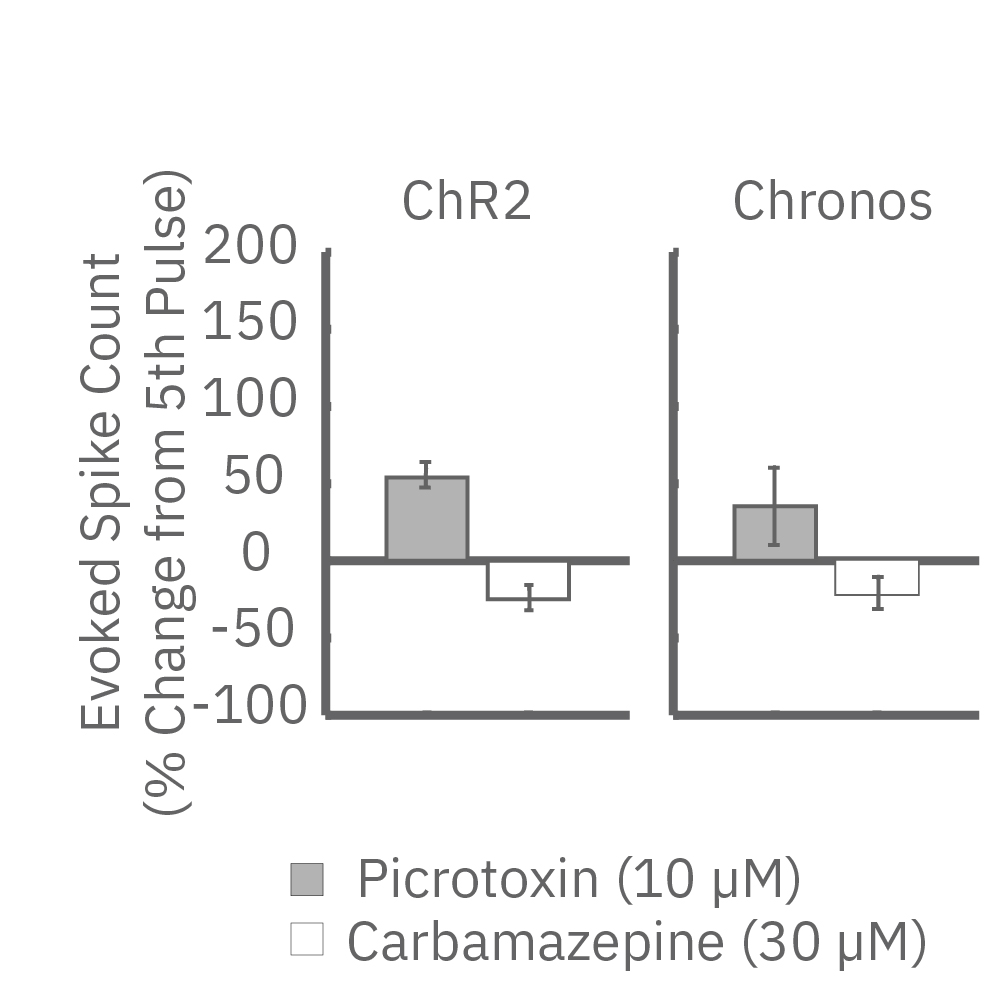 MEA evoked spike count graph showing reduced neural response after carbamazepine application during optical stimulation