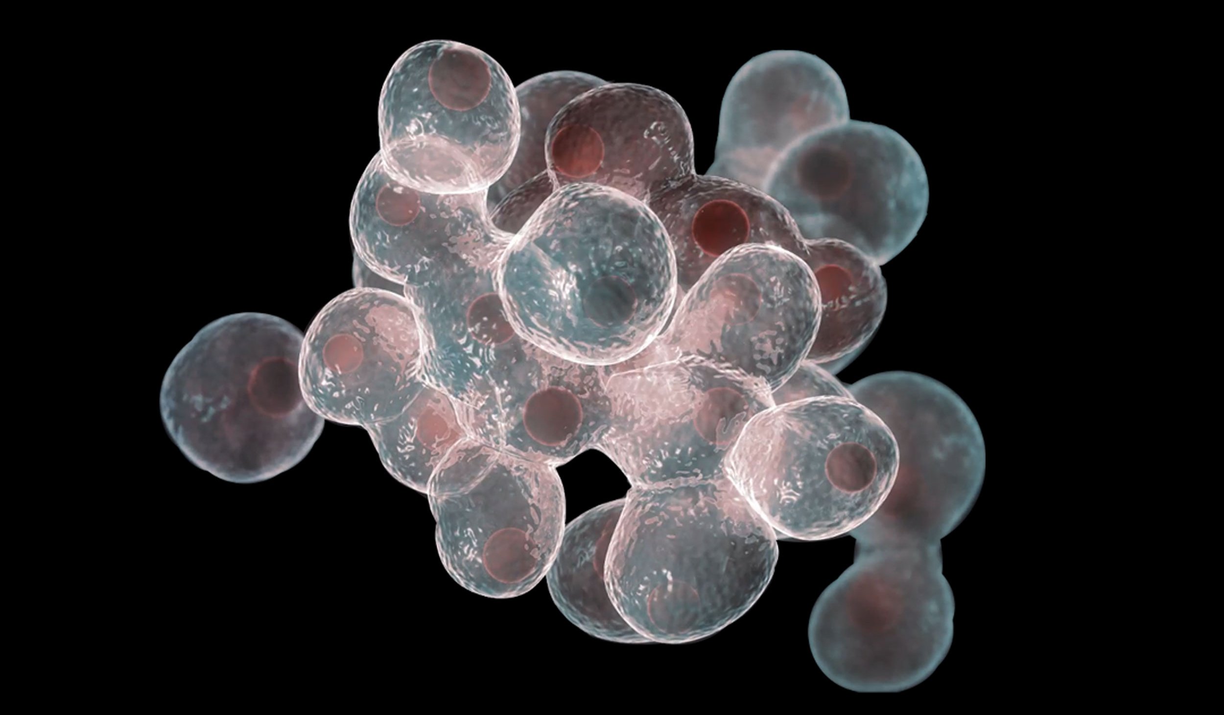 Cell-based Assays