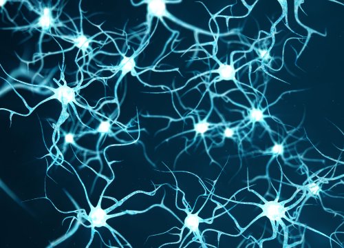 Neural Applications