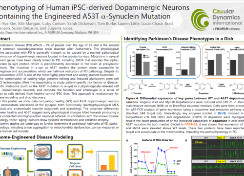 2016 SFN Poster Kim Phenotyping of human iPSC-derived dopaminergic neurons