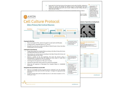 Axion Bio Cell Culture Protocol Rat Cortical Neurons