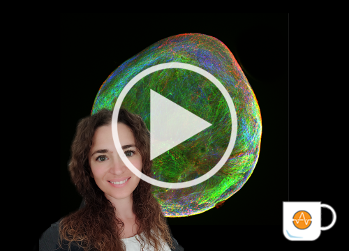 Patapia Neural Organoids (benos) video