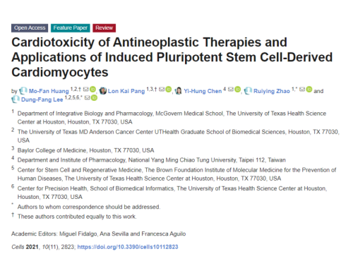 thumbnail of publication