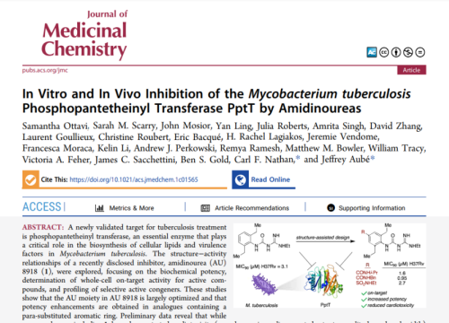 thumbnail of publication
