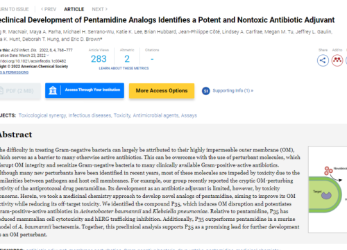 thumbnail of publication