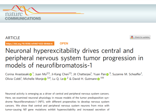 thumbnail of publication