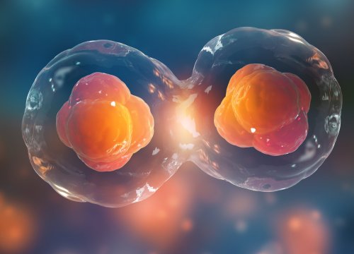 Stem Cell Assays Application