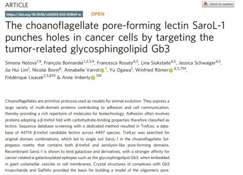 Communications Biology Publication, Sept 2022