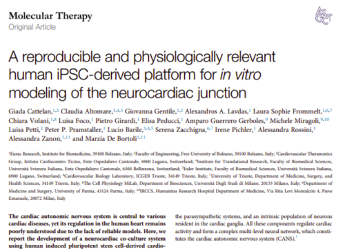 Molecular Therapy, 01 April 2026