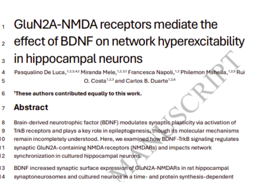 Brain, 05 May 2026