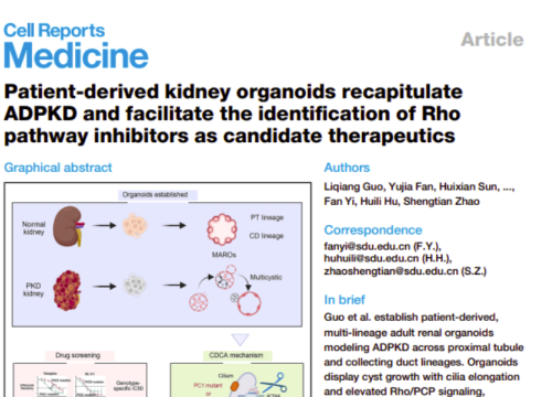 Cell Reports Medicine, 21 April 2026