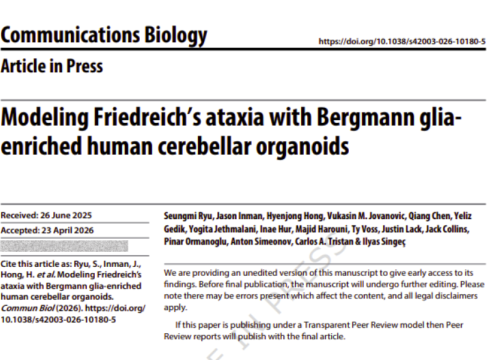 Communications Biology, 08 May 2026