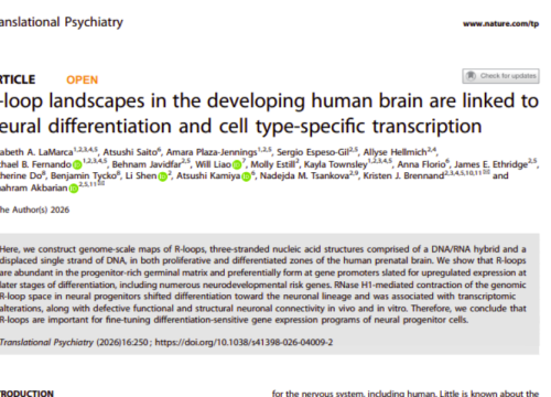Translational Psychiatry, 13 April 2026
