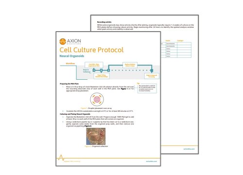 Neural Organoids Protocol