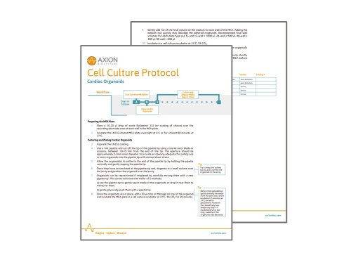 Culture Protocol - Cardiac Organoids CytoView MEA