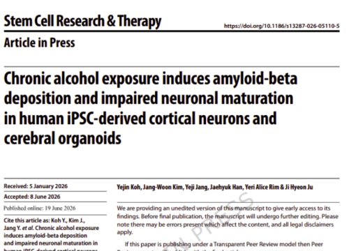“Chronic Alcohol Exposure Induces Amyloid-Beta Deposition and Impaired Neuronal Maturation in Human iPSC-Derived Cortical Neurons and Cerebral Organoids” research publication about the effects of chronic alcohol exposure on amyloid-beta deposition and neuronal maturation in human cortical neurons and cerebral organoids.